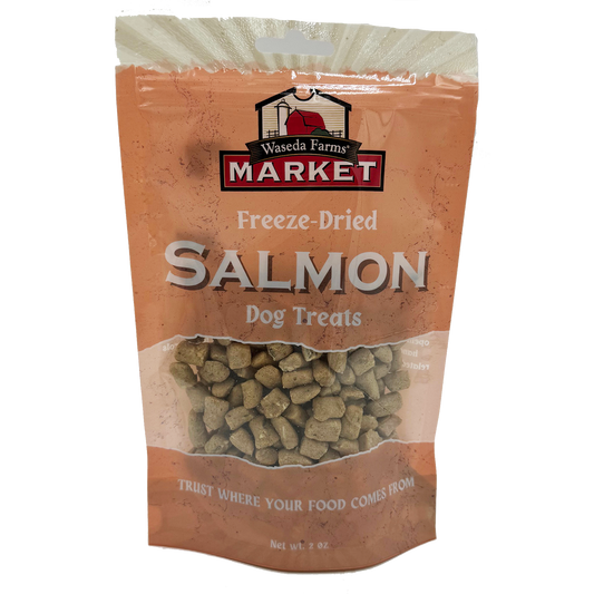 Salmon Dog Treats