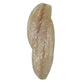 Grouper Fillets
