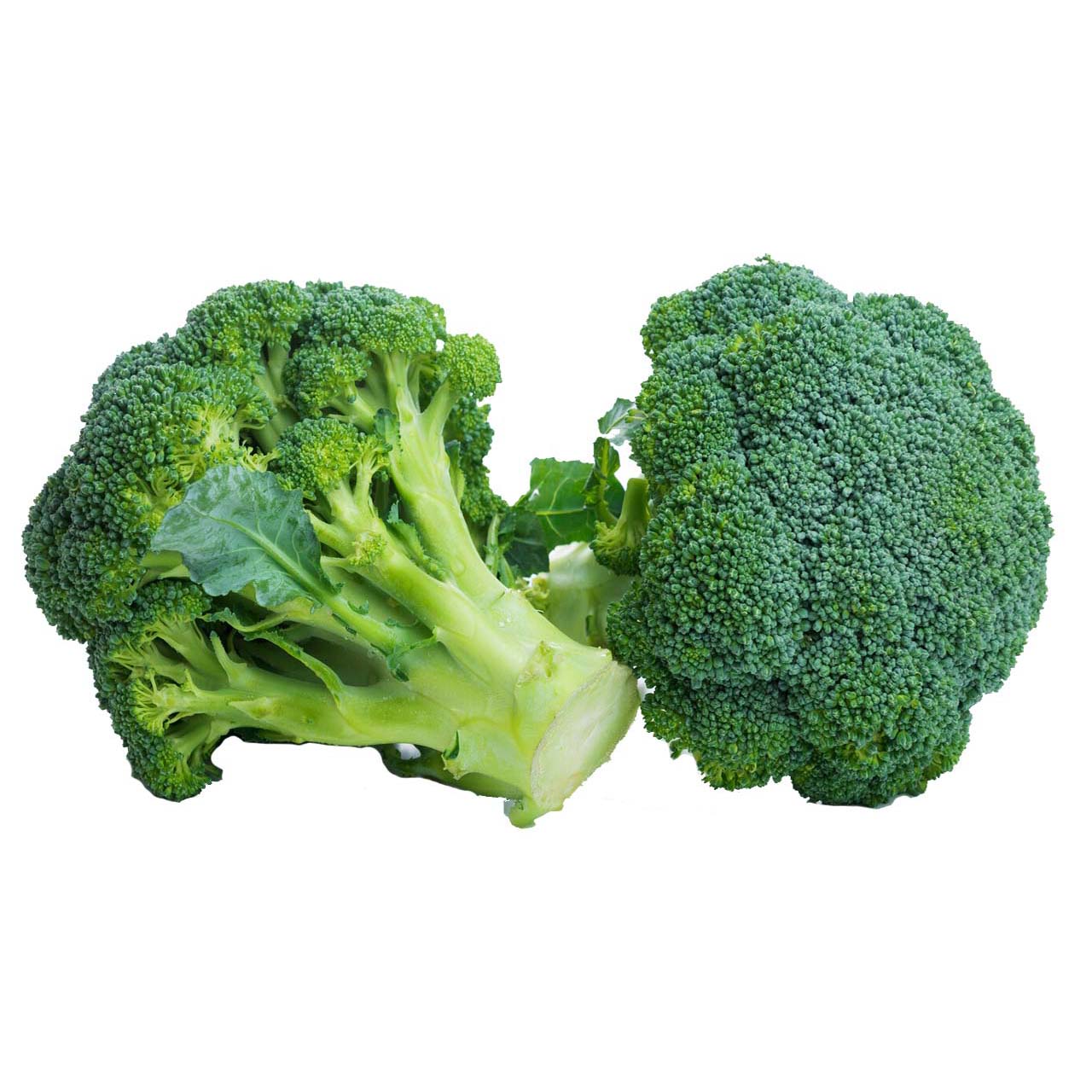 Broccoli - Organic - 1 lb. – FarmFreshXpress - Local Food to Your Doorstep