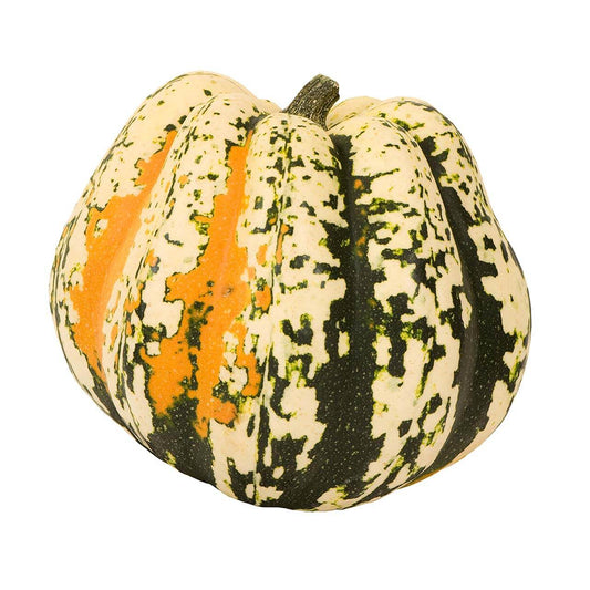Carnival Squash - Organic