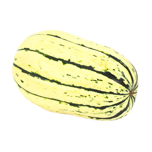 Delicata Squash - Organic