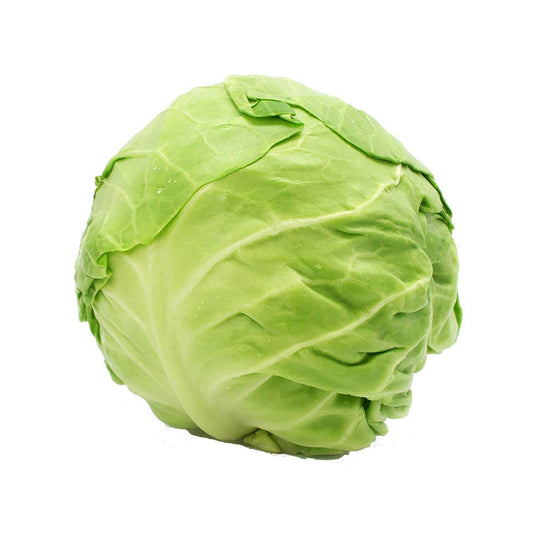 Green Cabbage - Organic