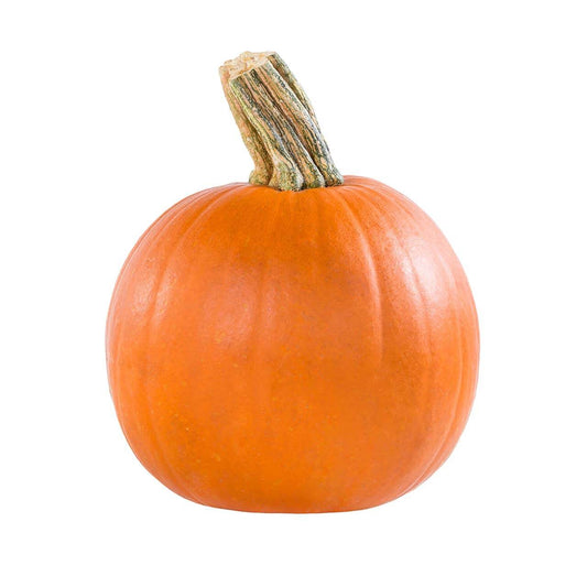 Pie Pumpkin - Organic