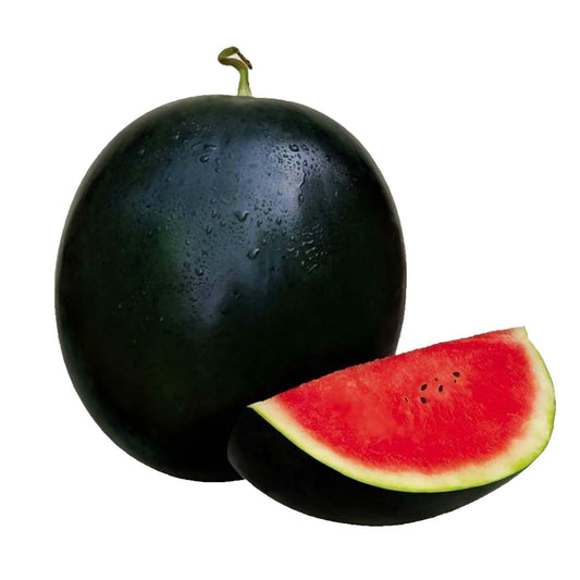 Sugar Baby Watermelon - Organic