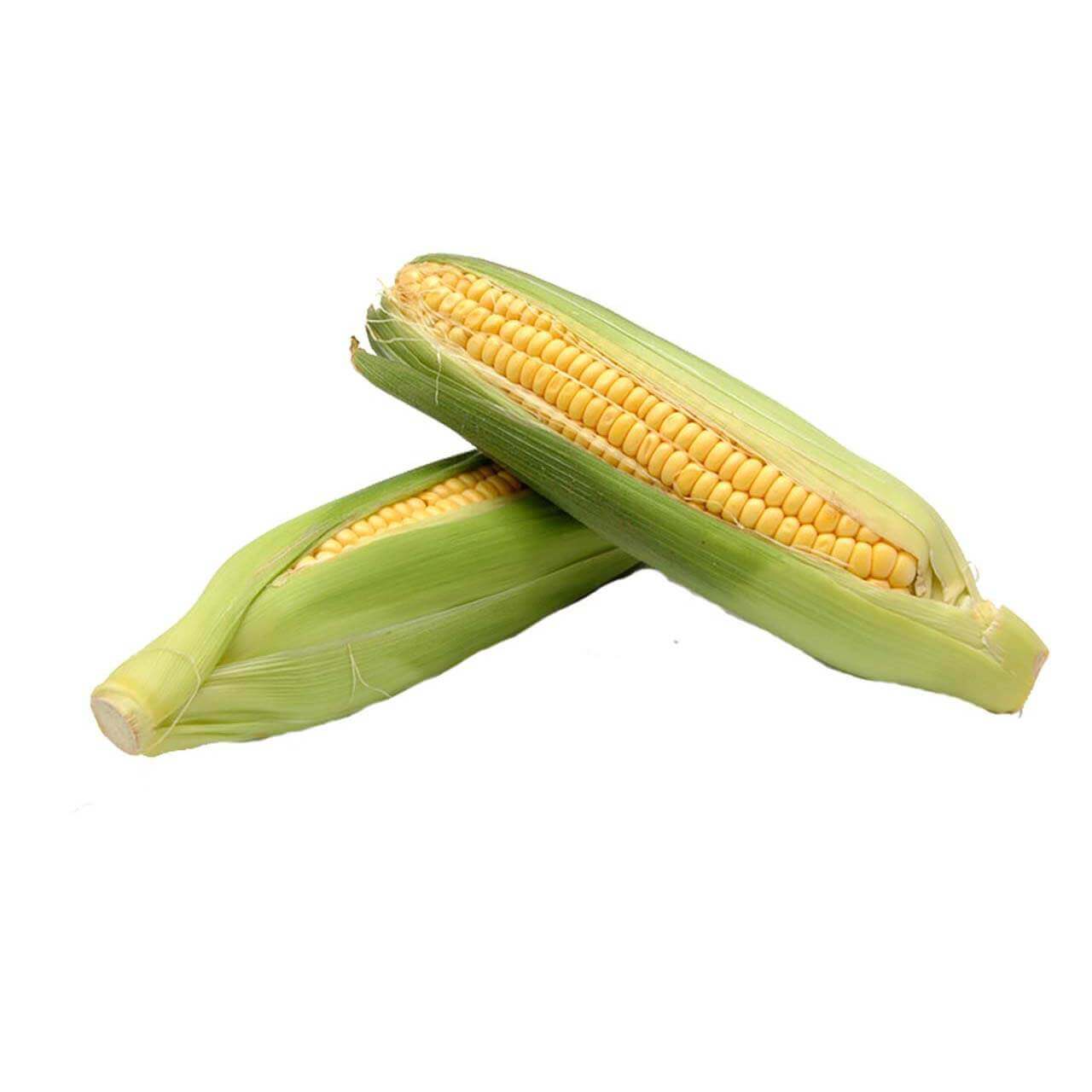 Sweet Corn - Each Ear