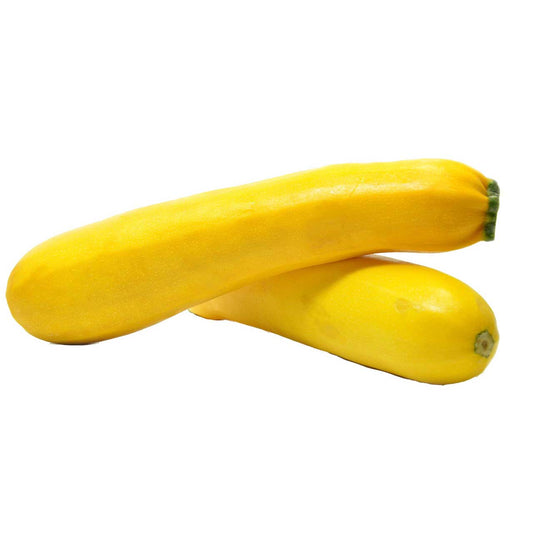 Yellow Squash - Organic