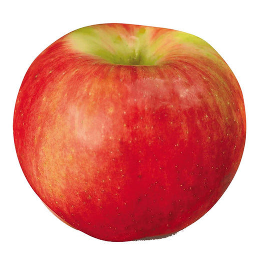 Zestar Apples - 1/2 Peck