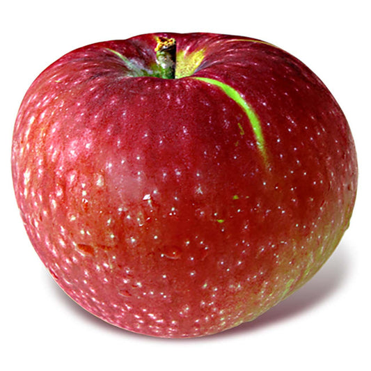 Paula Red Apples - 1/2 Peck