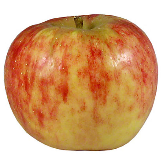 Riverbelle Apple - 1/2 Peck